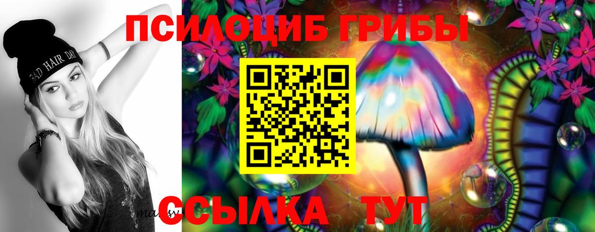 Рузаевка  наркота  Вход с VPN  Псилоцибиновые грибы Psilocybine cubensis 